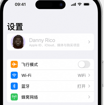 乐昌appleID维修服务iPhone设置中Apple ID显示为灰色无法使用