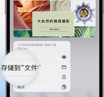 乐昌apple维修中心分享iPhone文件应用中存储和找到下载文件