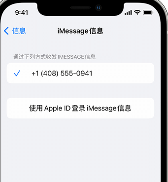 乐昌apple维修iPhone上无法正常发送iMessage信息