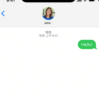 乐昌apple维修iPhone上无法正常发送iMessage信息