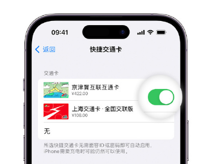 乐昌apple维修点分享iPhone上更换Apple Pay快捷交通卡手绘卡面 