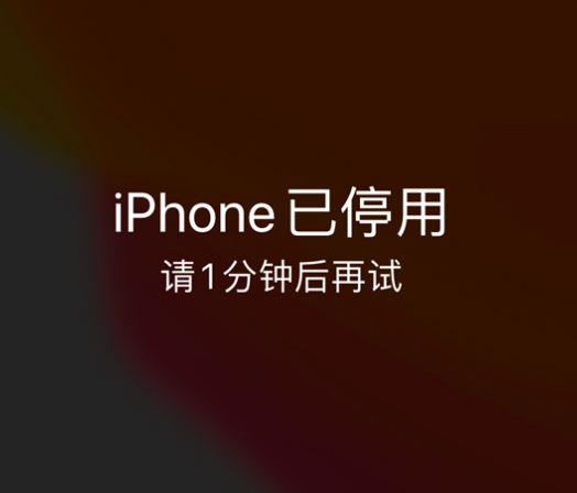 乐昌苹果手机维修分享:iPhone 显示“不可用”或“已停用”怎么办？还能保留数据吗？ 