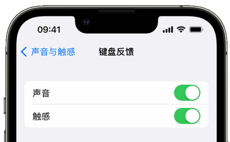 乐昌苹果手机维修分享iPhone 14触感键盘使用方法 