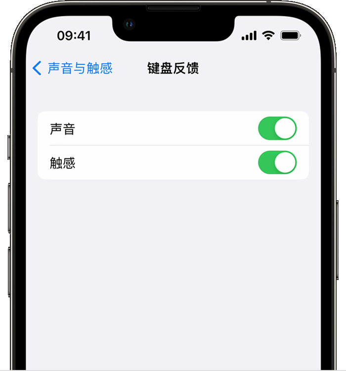 乐昌苹果14维修店分享如何在 iPhone 14 机型中使用触感键盘 