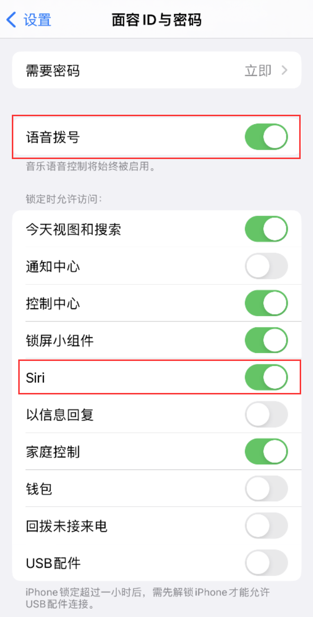 乐昌苹果维修网点分享不解锁 iPhone 的情况下通过 Siri 拨打电话的方法 