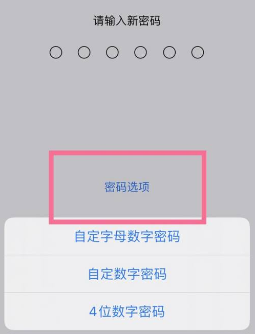 乐昌苹果14维修分享iPhone 14plus设置密码的方法 