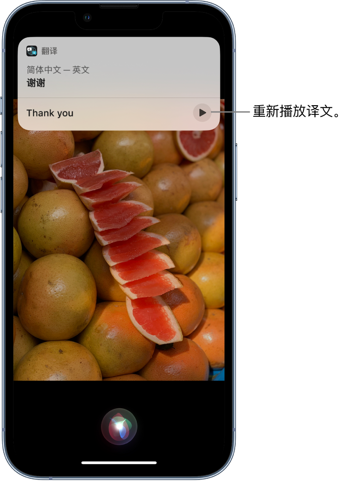 乐昌苹果14维修分享 iPhone 14 机型中使用 Siri：了解 Siri 能帮你做什么 