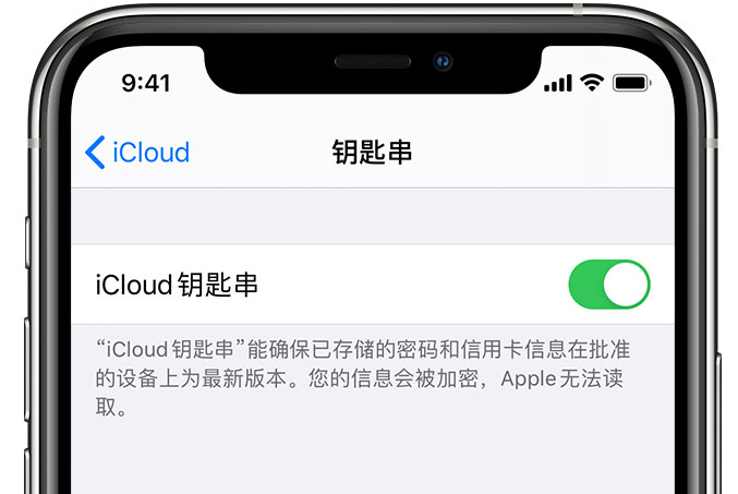 乐昌苹果手机维修分享在 iPhone 上开启 iCloud 钥匙串之后会储存哪些信息 