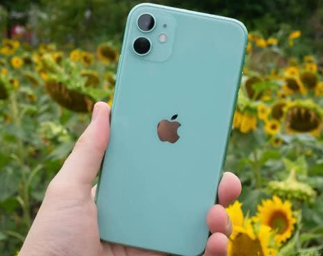 乐昌苹果维修点分享iPhone 11锁屏密码认知与使用科普 
